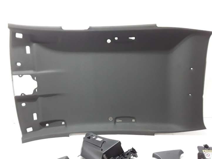 Renault Megane E-Tech (2022 - )  739104328R Потолок