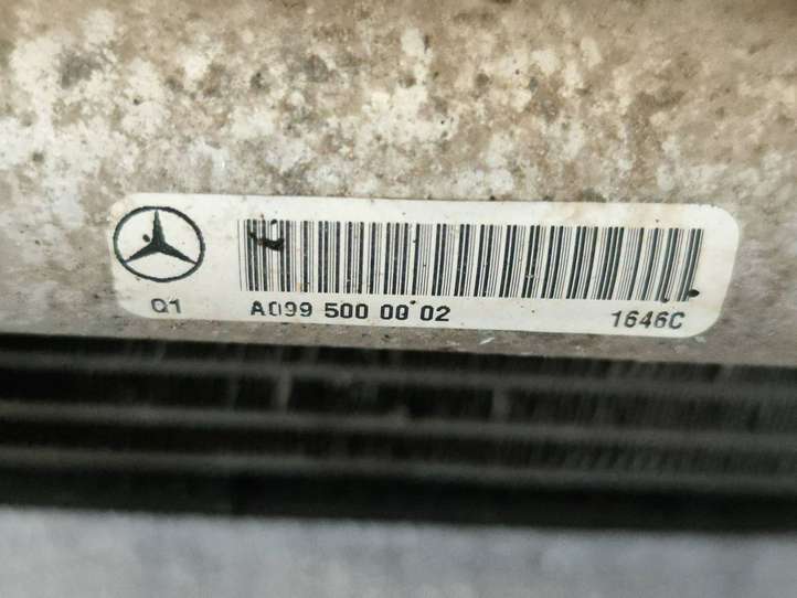 Mercedes-Benz GLS X166 (2015 - 2019)  a0995000104 Комплект радиаторов