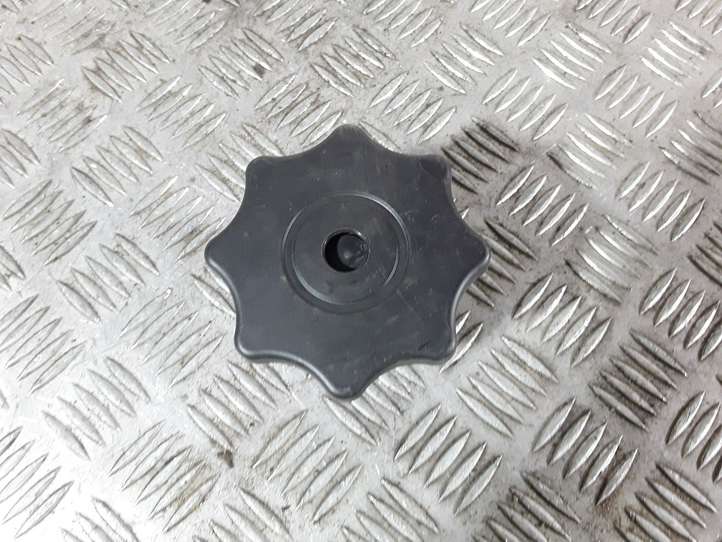 Audi A4 (2007 - 2011)  8K0804899 Крепежный винт (запасное колесо)