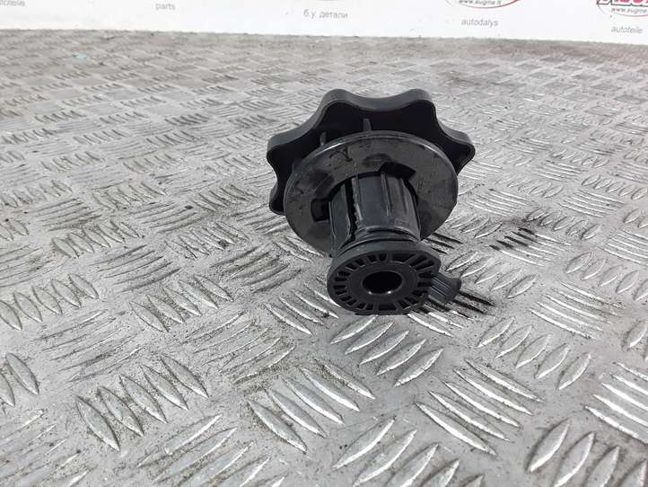 Audi A4 (2007 - 2011)  8K0804899 Крепежный винт (запасное колесо)