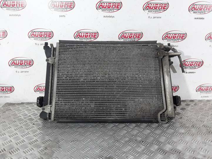 Volkswagen PASSAT B6 (2005 - 2010)  1K0121253AC Комплект радиаторов