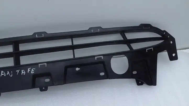 Hyundai Santa Fe (2005 - 2009) HN07047GA Нижняя решетка переднего бампера — фото 3