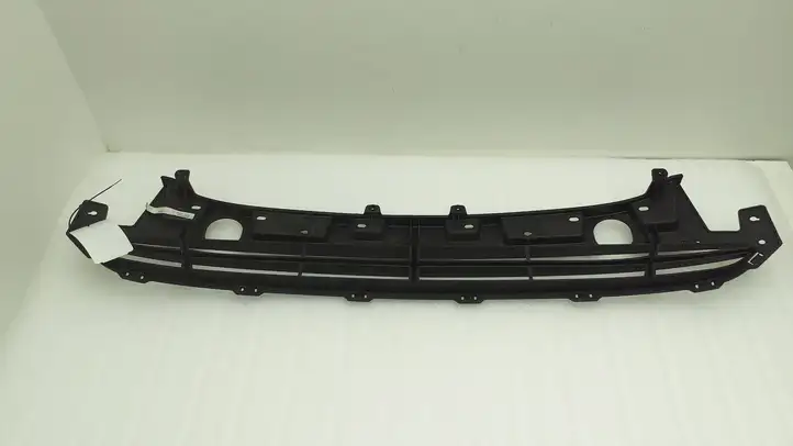 Hyundai Santa Fe (2005 - 2009) HN07047GA Нижняя решетка переднего бампера — фото 5