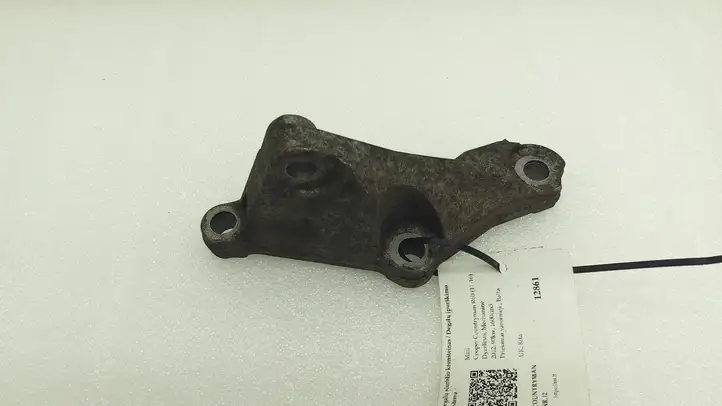 Mini Cooper Countryman R60 (2010 - 2016) 7810698 Кронштейн топливного насоса — фото 1