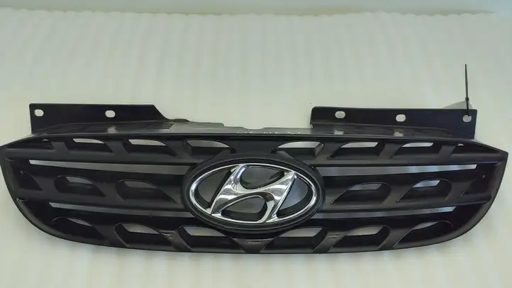 Hyundai Genesis (2008 - 2011) 863512M000 Верхняя решетка радиатора — фото 1