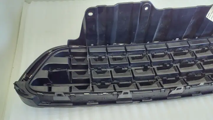 Mini Cooper Countryman R60 (2010 - 2016) 9807711 Верхняя решетка радиатора — фото 9