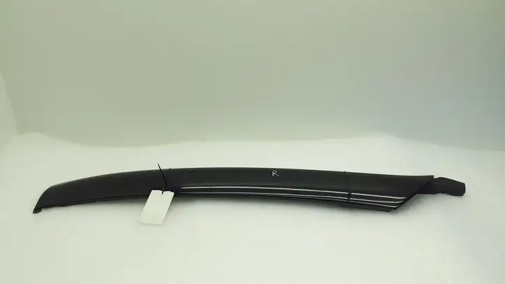 Mercedes-Benz CL C215 (2000 - 2006) A2156980298 Накладка стоек лобового стекла — фото 1