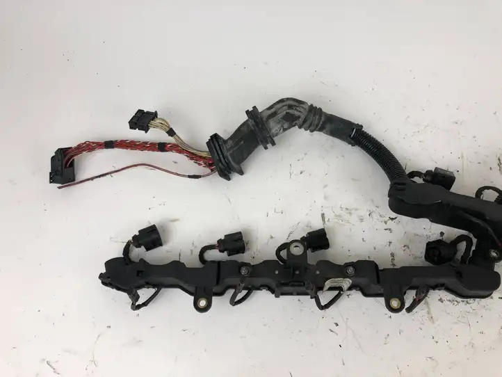 BMW X6 E71 (2008 - 2014) 734003103C Проводка топливных форсунок — фото 2