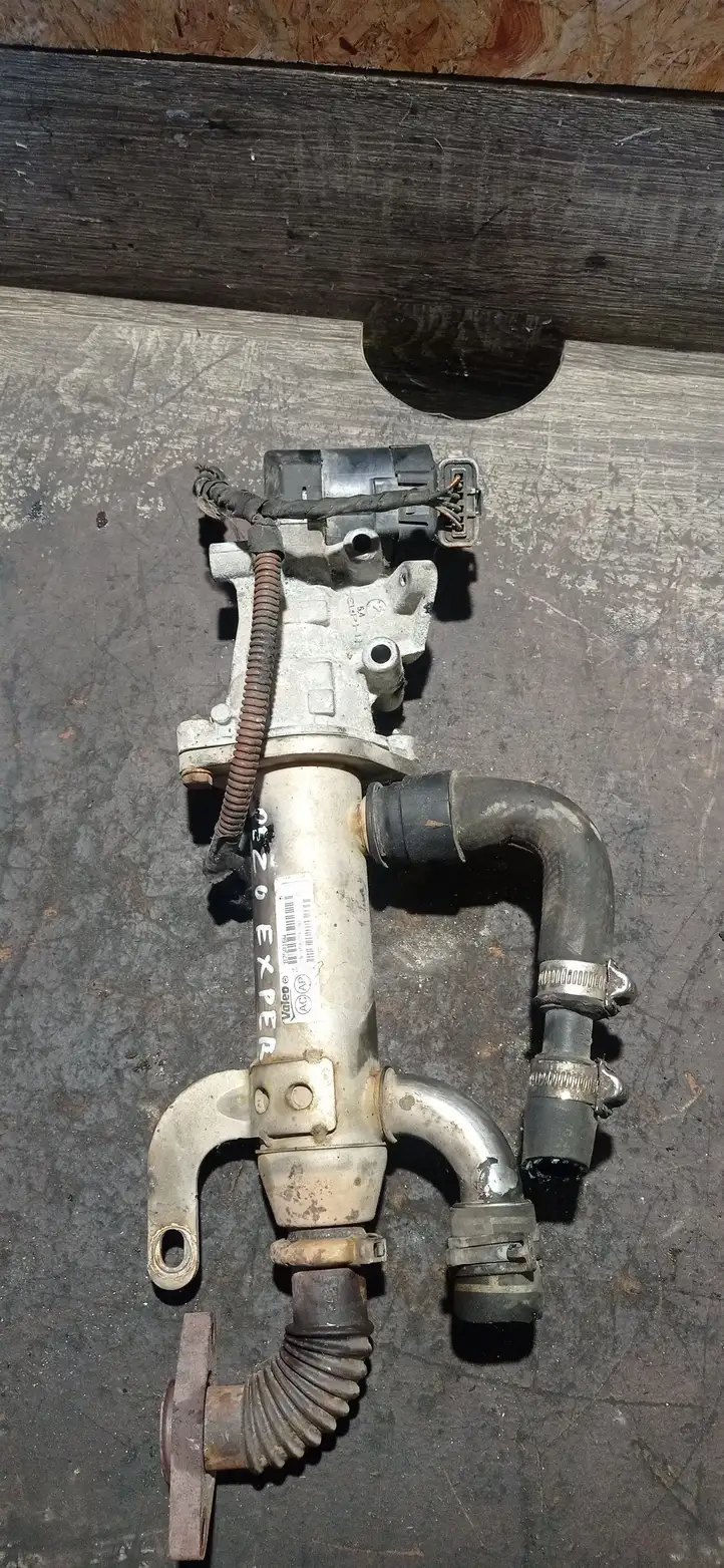 Peugeot Expert (2007 - 2016) 9645689780 Охладитель клапана EGR — фото 1