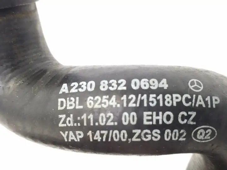 Mercedes-Benz SL R230 (2001 - 2012) A2308320694 Трубка подачи воздуха — фото 2