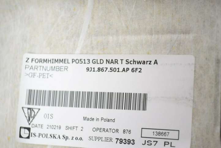 Porsche Taycan 9J1 (2019 - )  9J1867501 Потолок