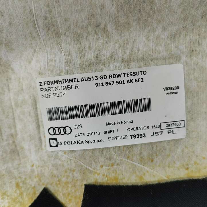 Audi e-tron GT (2020 - )  9J1867501AK Потолок