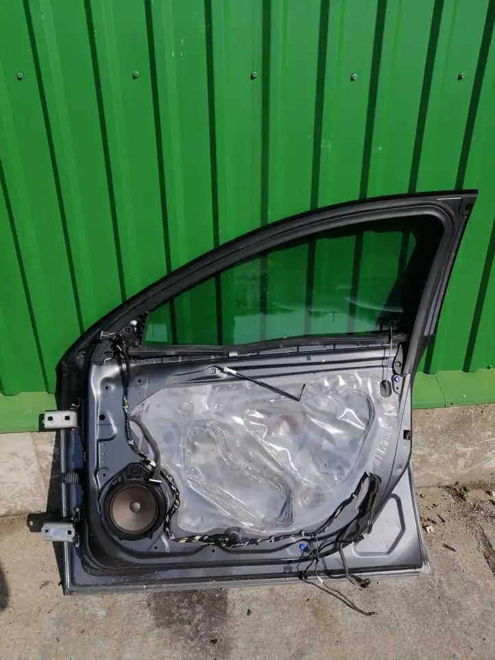Opel Insignia A (2008 - 2017) Дверь — фото 2