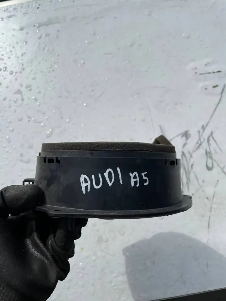 Audi A5 8T 8F (2007 - 2011) 8R0035411 Динамики задних дверей — фото 2