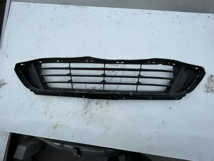 BMW 2 F45 (2014 - 2021) 7301567 Передняя решетка — фото 1