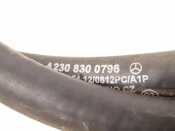 Mercedes-Benz SL R230 (2001 - 2012) A2308300796 Шланг (шланги) оконной жидкости лобового стекла — фото 2