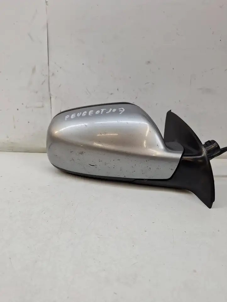 Peugeot 307 CC (2001 - 2005) Боковое зеркало с электроприводом — фото 3