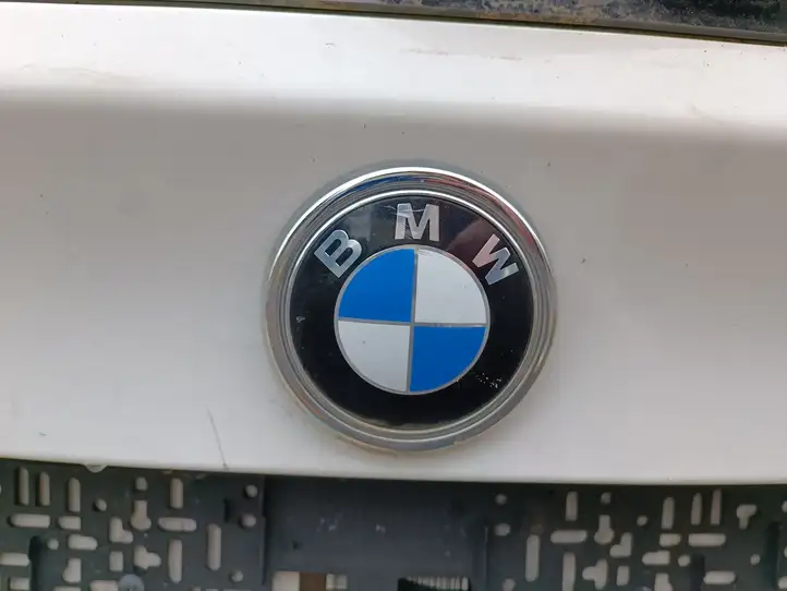 BMW X5 E70 (2006 - 2013) 6942165 Крышка багажника — фото 4