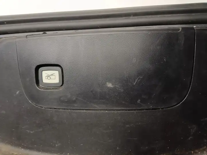 Tesla Model 3 (2017 - 2023) 110772200D Другая часть кузова — фото 4