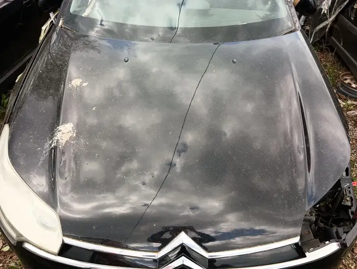 Citroen C5 (2008 - 2017) Капот — фото 1