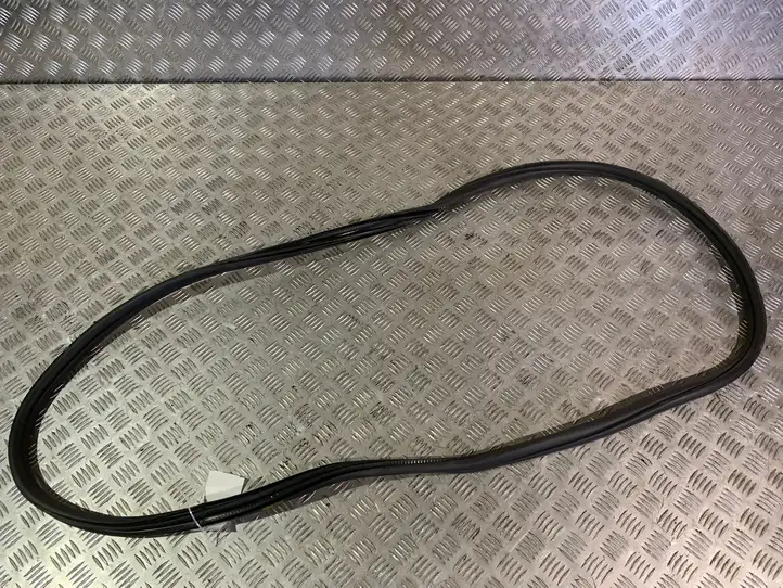 BMW 3 F30 F35 F31 (2012 - 2018) 7258311 Уплотнитель кузова — фото 1