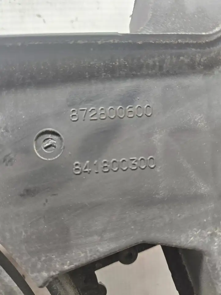 Fiat Doblo (2000 - 2009) 841800300 Дифузор радиатора — фото 8
