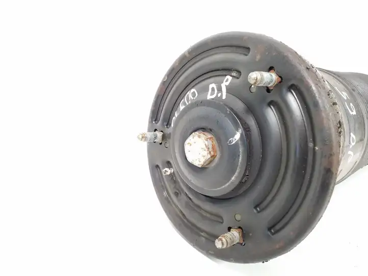 Mercedes-Benz CL C216 (2007 - 2014) A2213208013 Передний амортизатор — фото 4