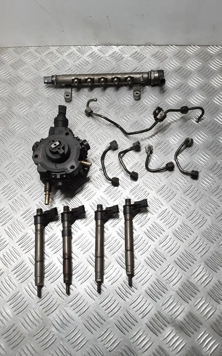 Citroen C-Crosser (2007 - 2013) 0928400664 Комплект системы впрыска — фото 1