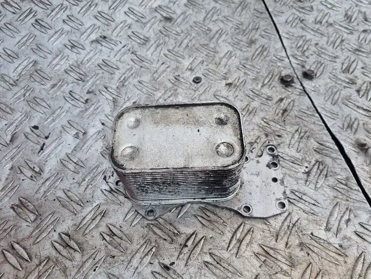 Audi A6 S6 C6 4F (2004 - 2008) 059117021H Кронштейн масляного фильтра — фото 3