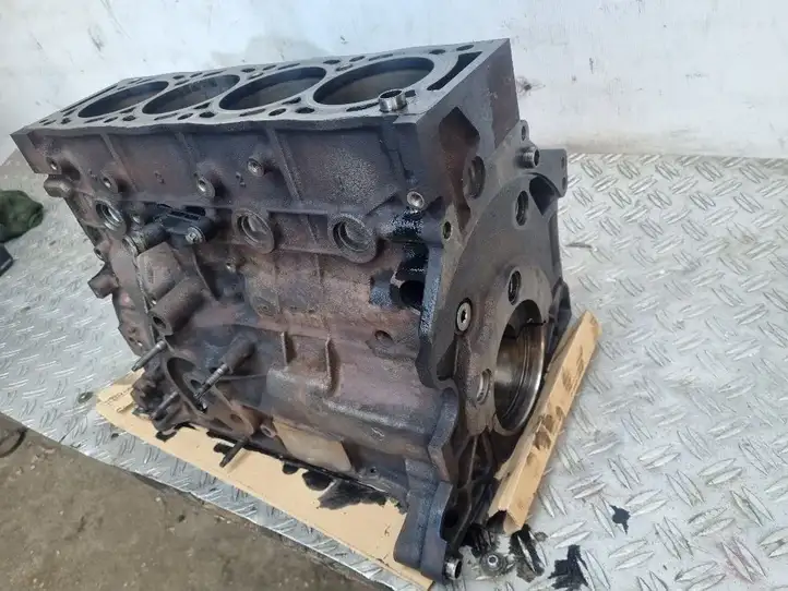 Land Rover Evoque I (2011 - 2015) 224DT Блок двигателя — фото 14