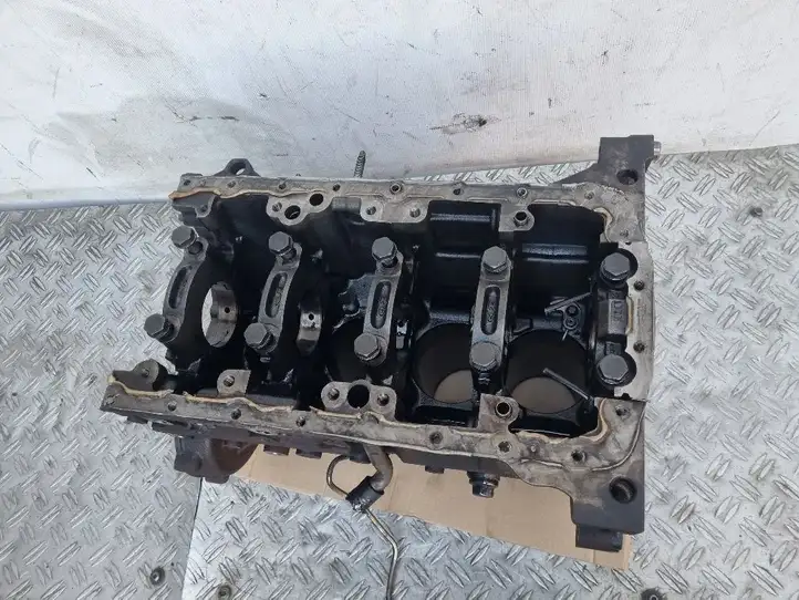 Land Rover Evoque I (2011 - 2015) 224DT Блок двигателя — фото 15