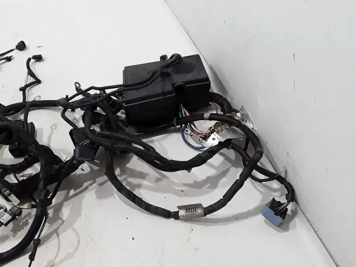 Ford Kuga II (2013 - 2019) CV6T3C221 Прочая электропроводка — фото 2