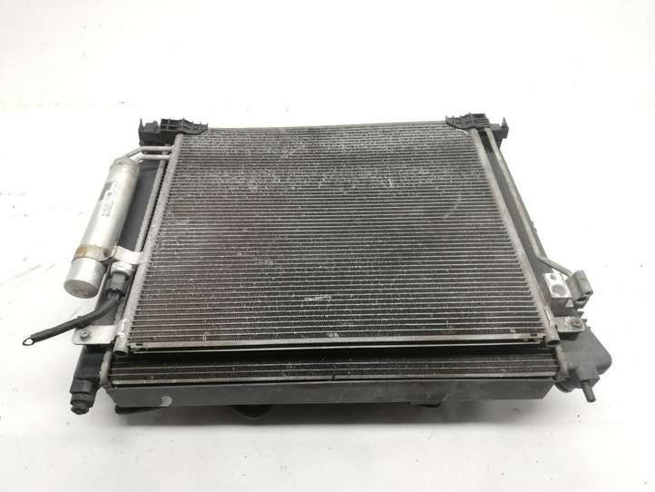Nissan Juke I F15 (2010 - 2018)  214103ZU0A Комплект радиаторов