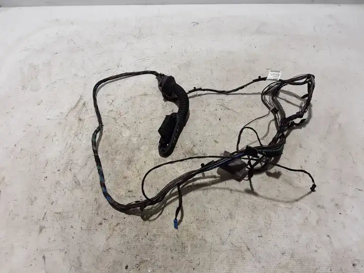 BMW X5 E70 (2006 - 2013) 9243551 Прочая электропроводка — фото 1