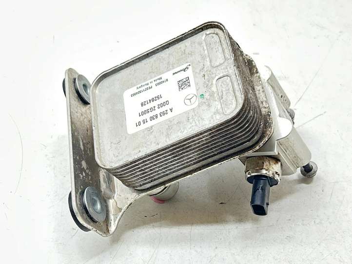 Mercedes-Benz EQC (2018 - )  A2938301501 Клапан расширительный