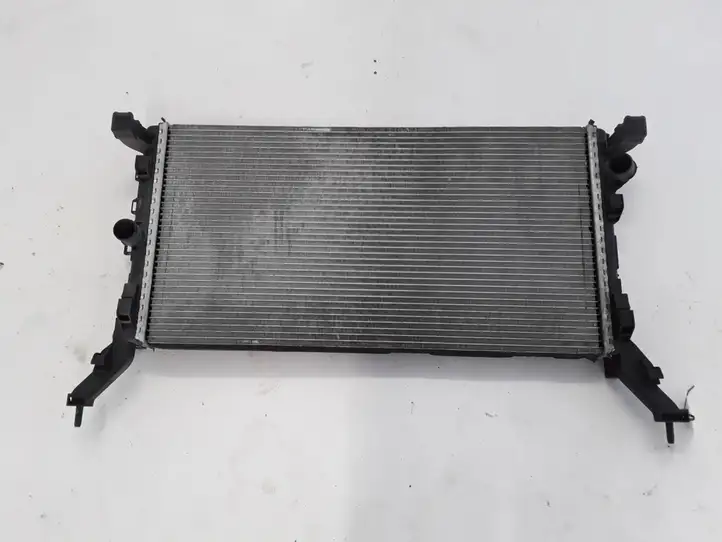 Renault Latitude (L70) (2010 - 2014) 214100056R Радиатор охлаждающей жидкости двигателя — фото 1