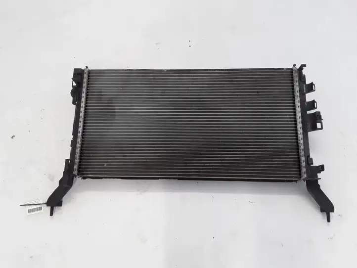 Renault Latitude (L70) (2010 - 2014) 214100056R Радиатор охлаждающей жидкости двигателя — фото 2