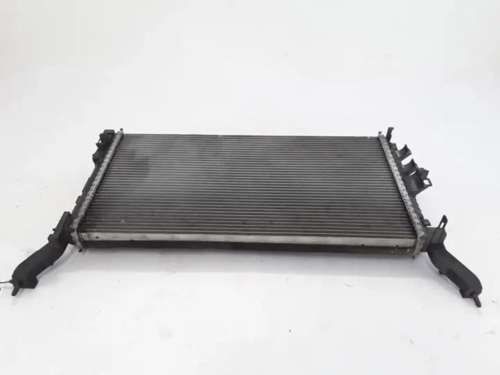 Renault Latitude (L70) (2010 - 2014) 214100056R Радиатор охлаждающей жидкости двигателя — фото 3