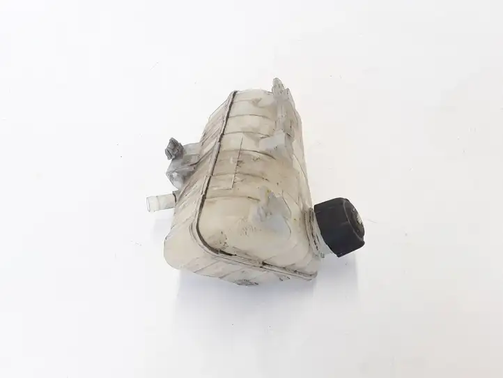 Renault Kangoo II (2008 - 2014) 8200455786 Расширительный бачок — фото 4
