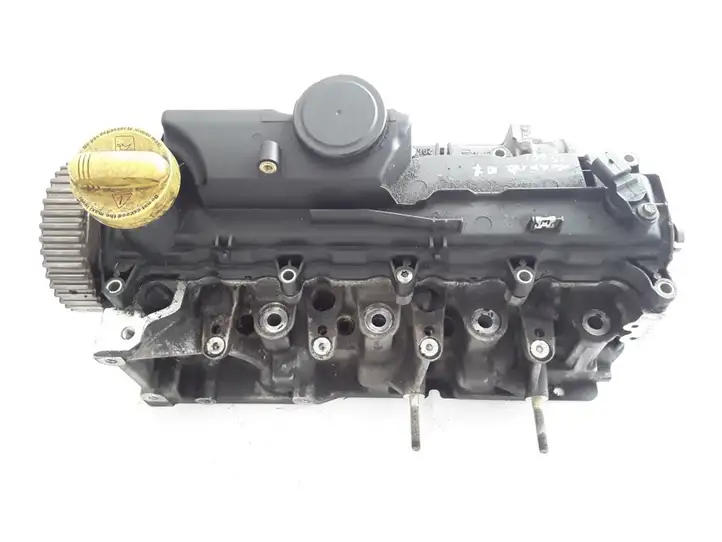 Renault Laguna III (2007 - 2015) 110410442R Головка блока цилиндров — фото 6