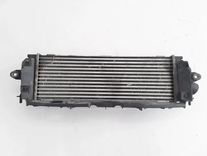 Renault Trafic II (X83) (2002 - 2014) 8200411160 Интеркулер — фото 2