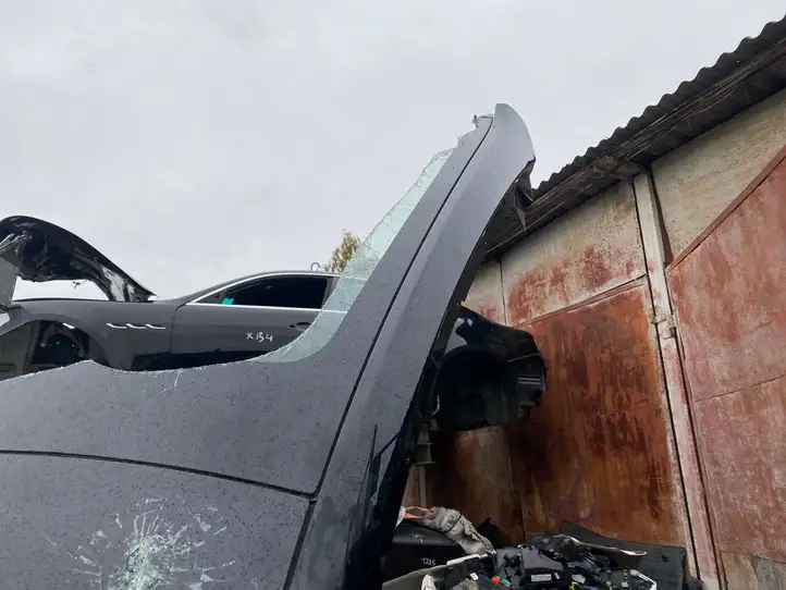 Tesla Model Y (2019 - 2024) Крыша — фото 7