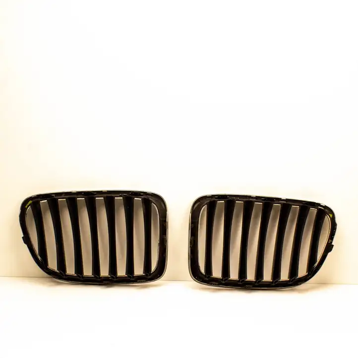 BMW X1 E84 (2009 - 2015) 2993308 Передняя решетка — фото 4