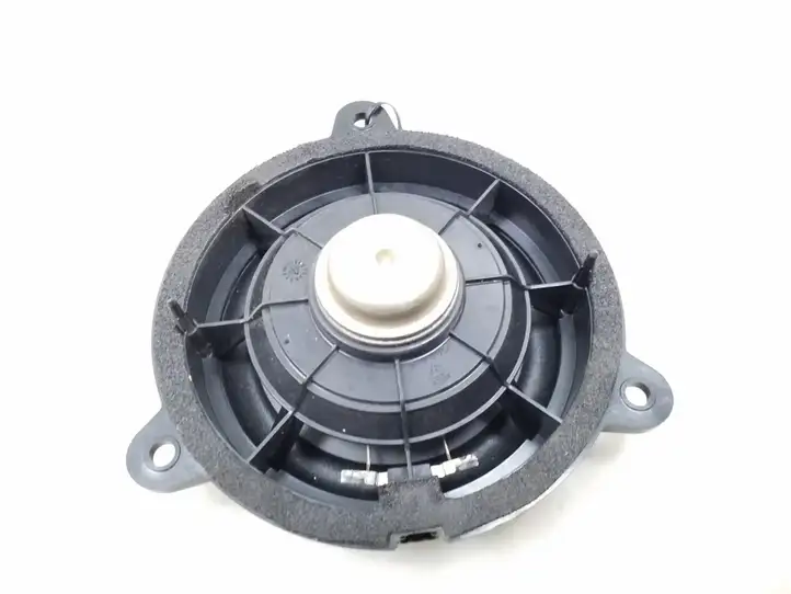 Nissan Murano Z50 (2002 - 2008) Динамики задних дверей — фото 4