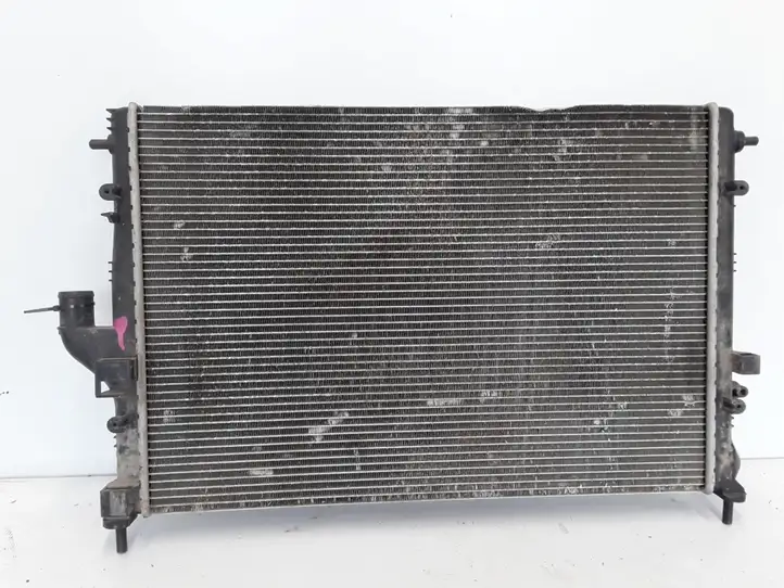 Dacia Sandero (2008 - 2012) 214100598R Радиатор охлаждающей жидкости двигателя — фото 3