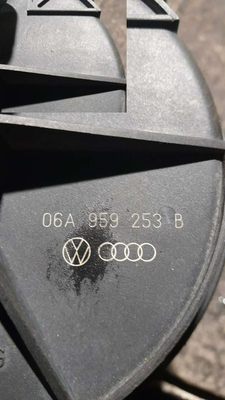 Audi A6 (2004 - 2008)  06A959253B Вторичный воздушный насос