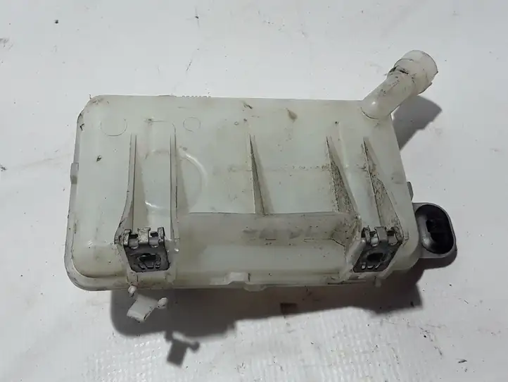 Opel Vivaro (2014 - 2018) 460913647R Бачок тормозной жидкости — фото 4