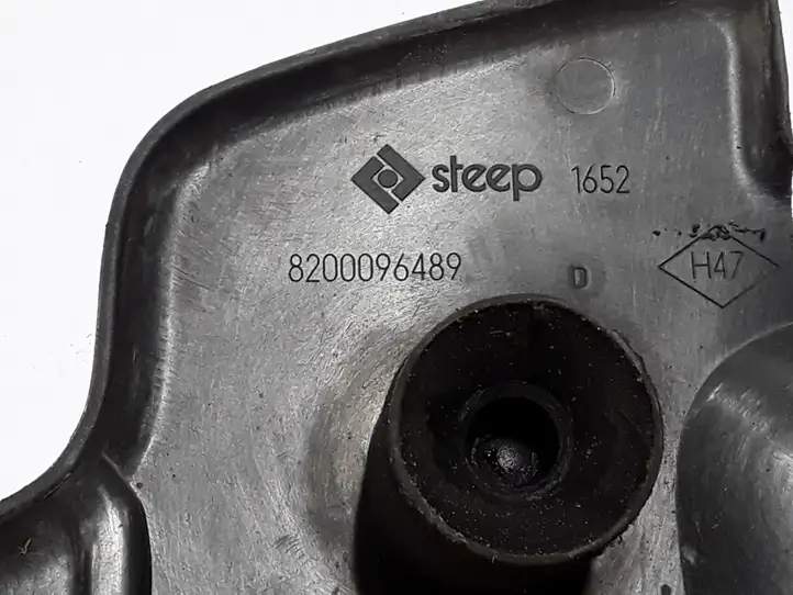 Renault Vel Satis (2002 - 2005) 8200096489 Крышка двигателя декоративная — фото 2