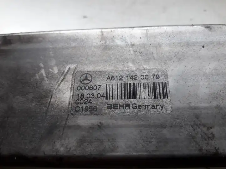 Mercedes-Benz ML W163 (1997 - 2005) A6121420079 Охладитель клапана EGR — фото 2