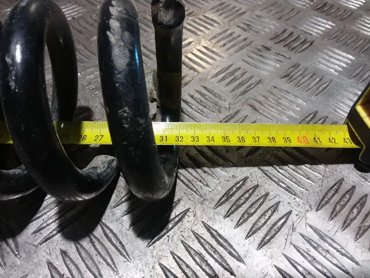 Dodge Magnum (2003 - 2008) Пружина задней подвески — фото 3